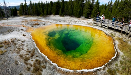 Yellowstone national park, Wyoming, United states photo