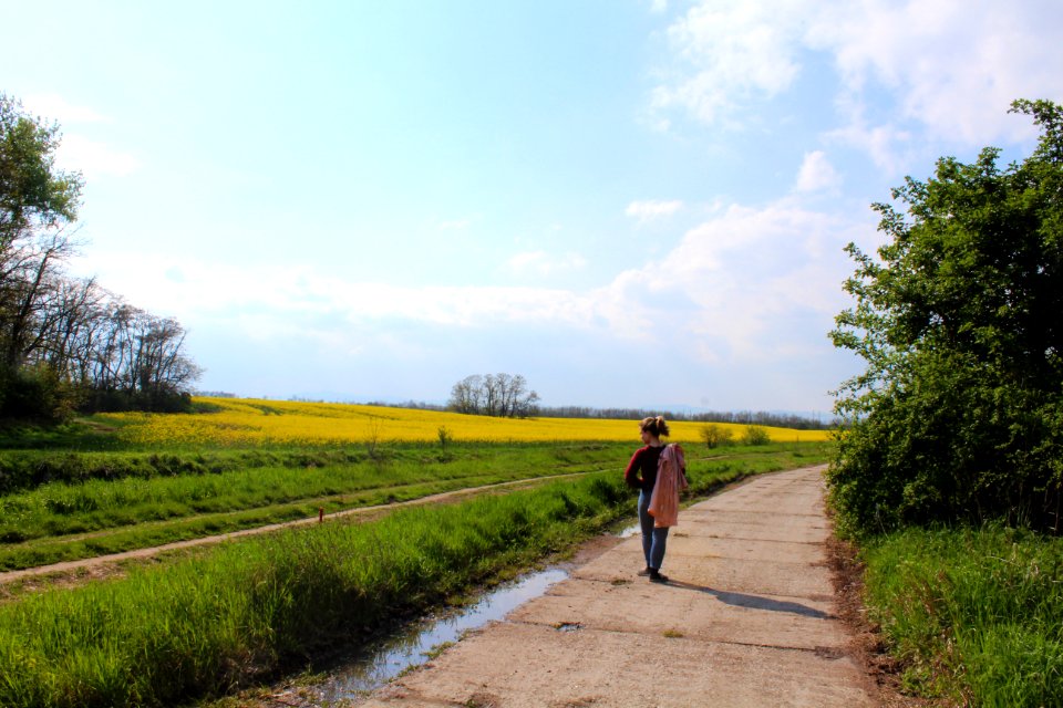 Trnava, Slovakia, Field
