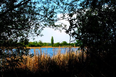 Slovakia, Trnava, Spot