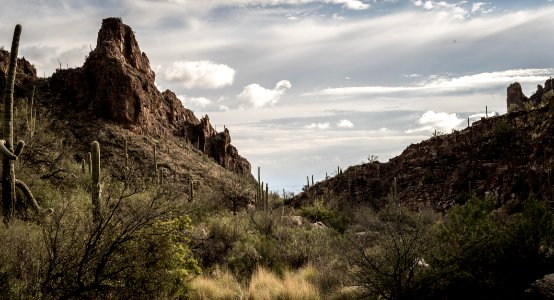 Nature, View, Desert