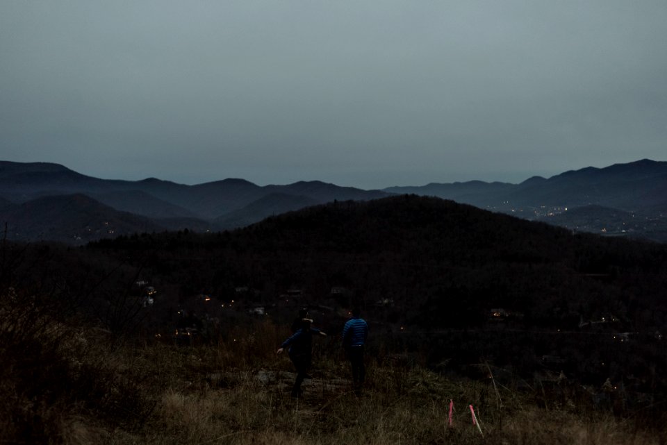 View, Forest, Twilight