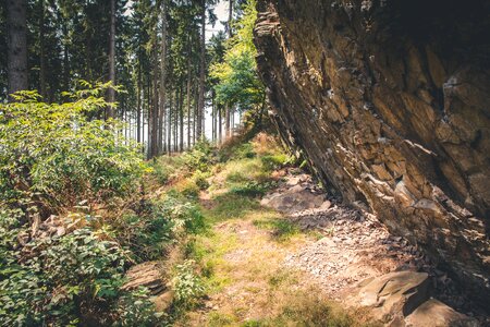 Nature hiking landscape photo