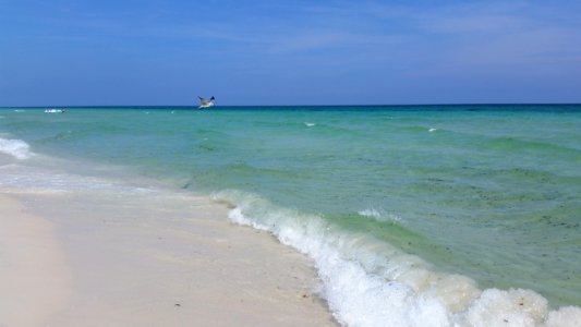 Pensacola beach, United states photo