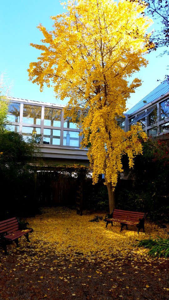 Franklin park conservatory, Botanical gardens, Columbus