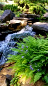 Inniswood metro gardens, Westerville, United states