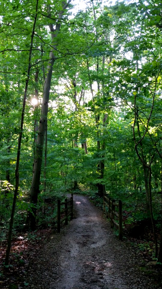 Inniswood metro gardens, Westerville, United states