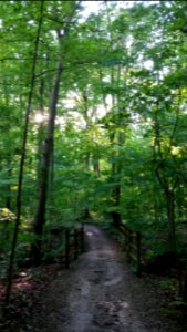 Inniswood metro gardens, Westerville, United states