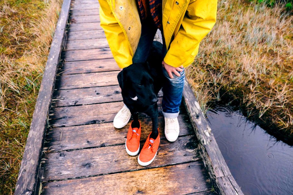 Explorebc, Dog