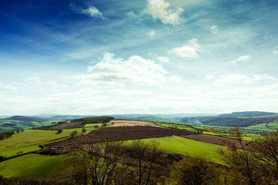 United kingdom, Bury ditches, Lydbury north