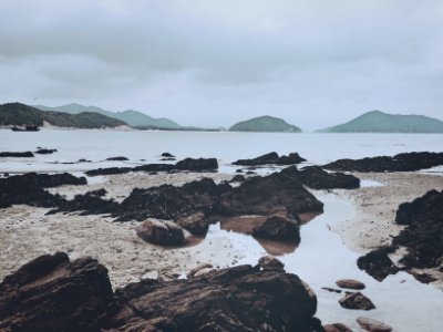 Sea, Foggy, Morning
