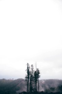 Outside, Fog, Alone