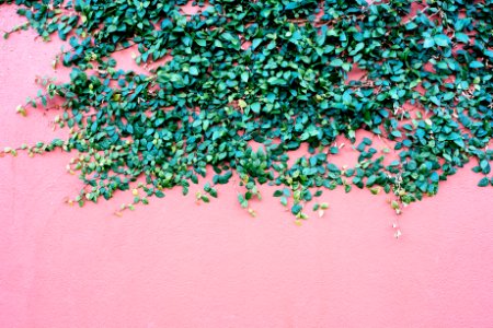 Fremantle, Australia, Nikon
