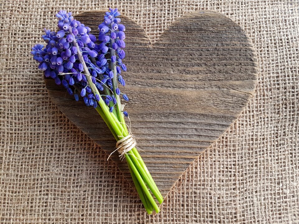Love spring decoupage