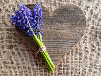 Love spring decoupage