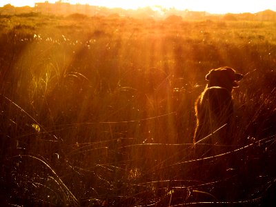 Pontal do sul, Brazil, Light