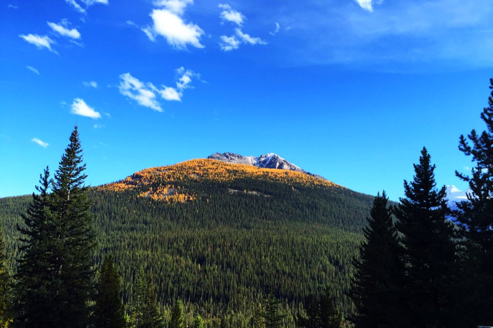 Canada, Banff national park, Park