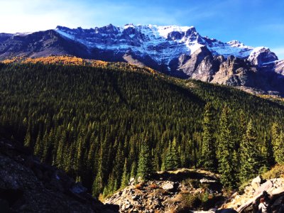 forest and glacier mountains during day photo