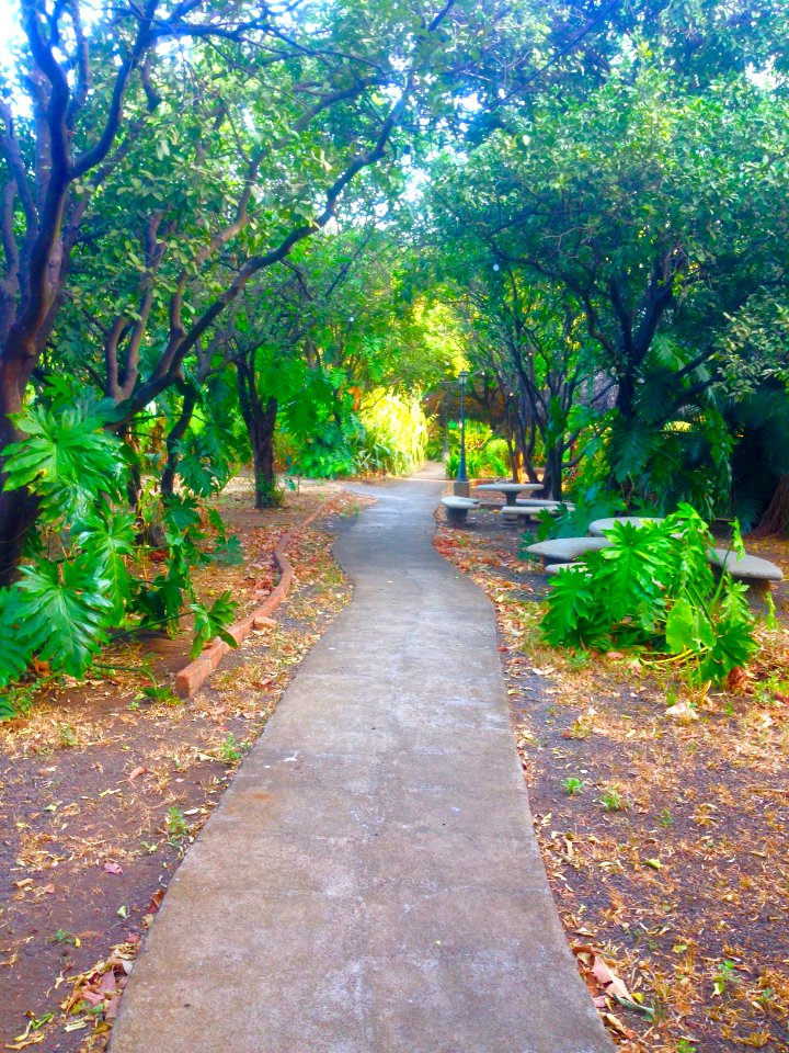 Managua, Nicaragua, Green