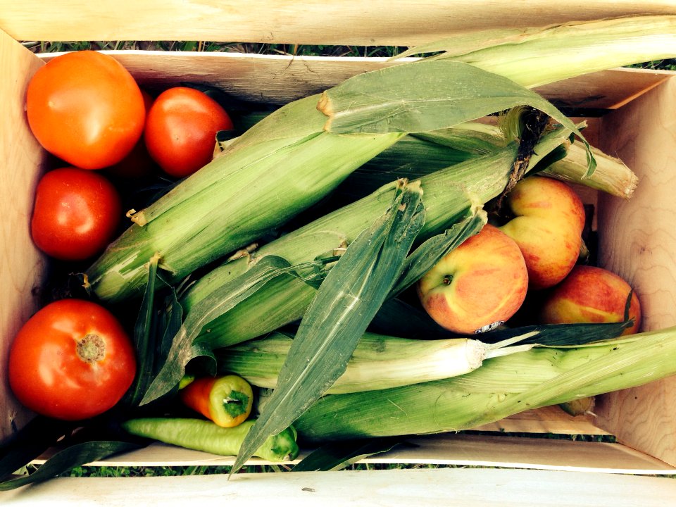 Newnan, United states, Crops