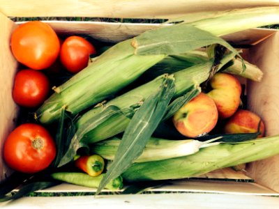 Newnan, United states, Crops