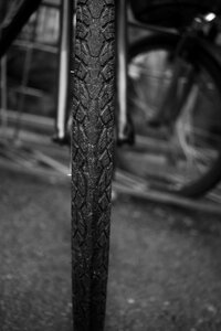 Bike cycle gray bike