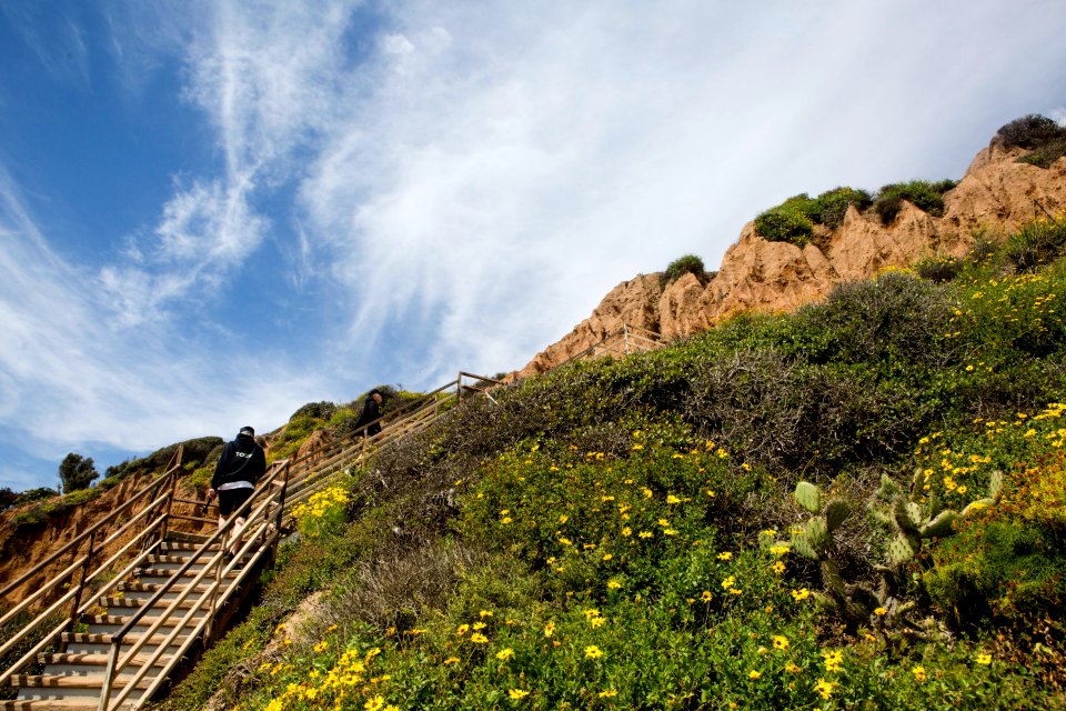 El matador state beach, Malibu, United states