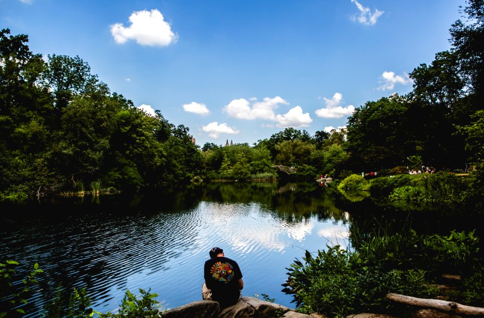 Central park, New york, Nyc