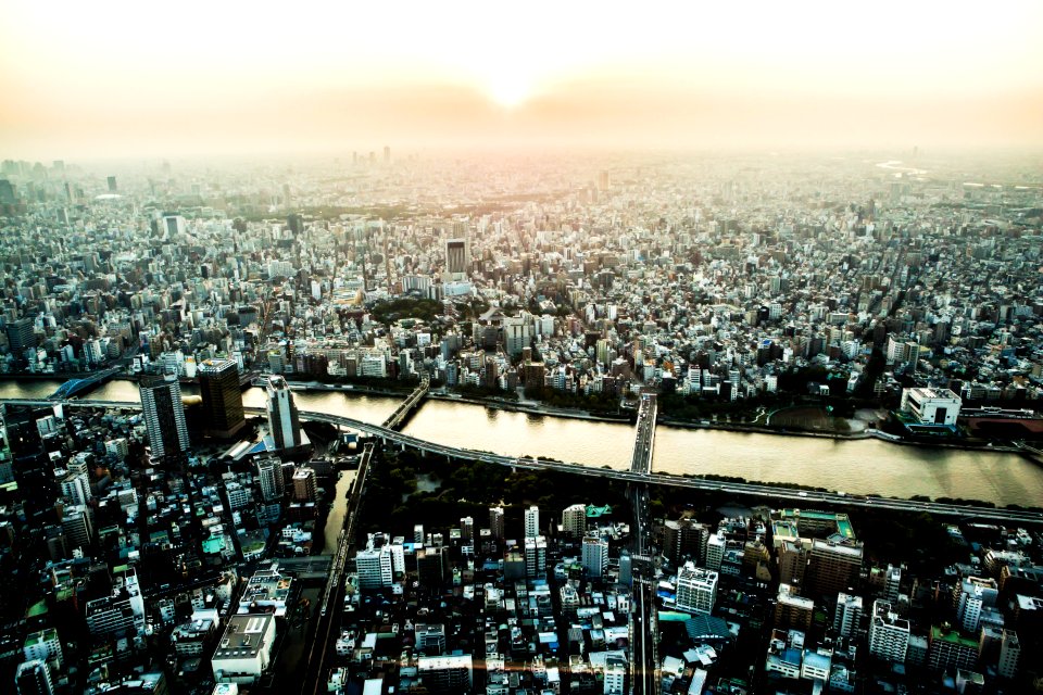top view photography of city building
