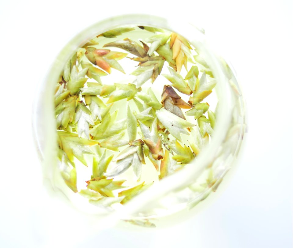 Light, Food, Closeup