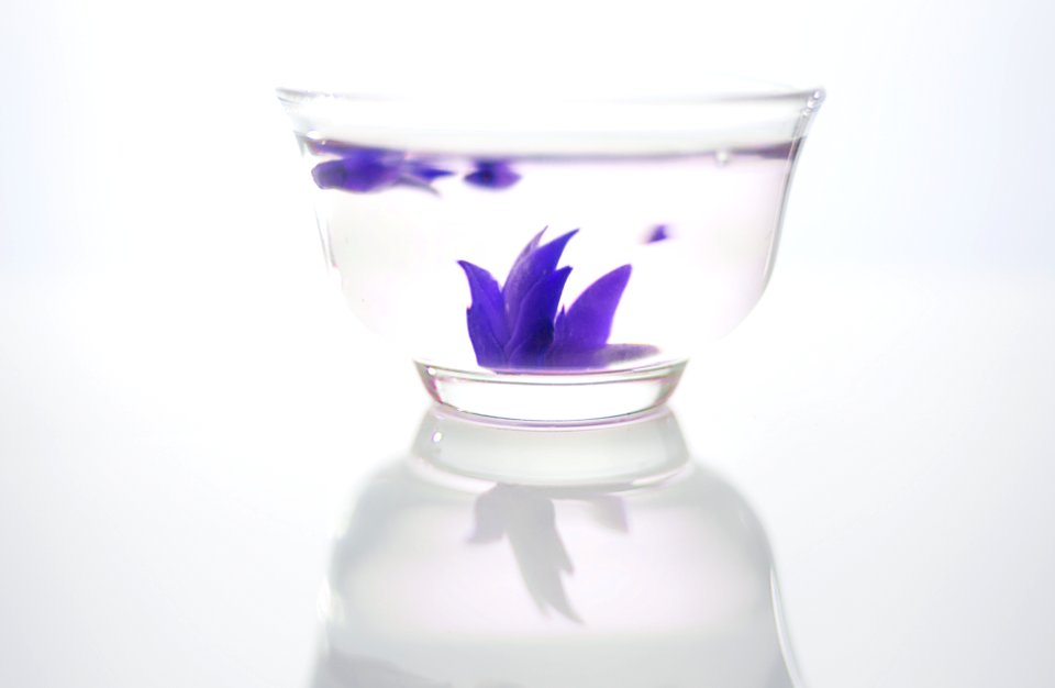 Drink, Closeup, Purple