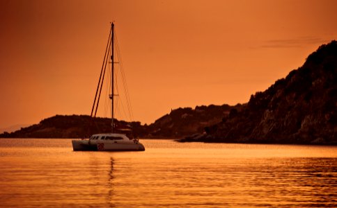 white catamaran sailing during sunset photo