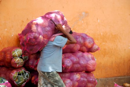 man carrying red mesh bag photo