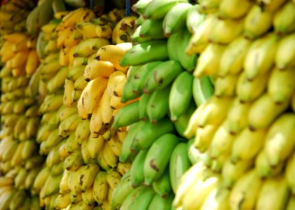 closeup photo of bunch of bananas photo