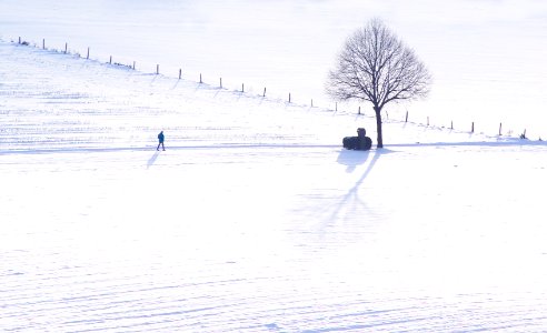 Winter, Snow, Walking photo