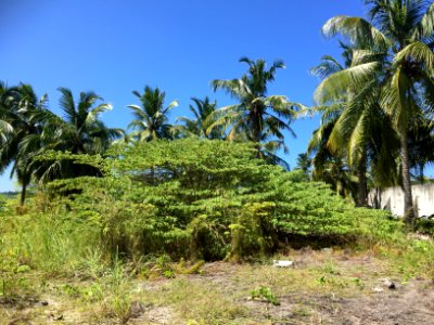 Addu city, Maldives, Hospital