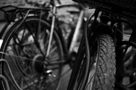 Bike cycle gray bike photo