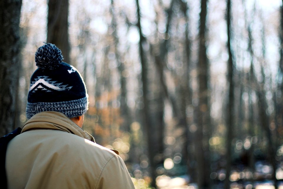 person facing trees