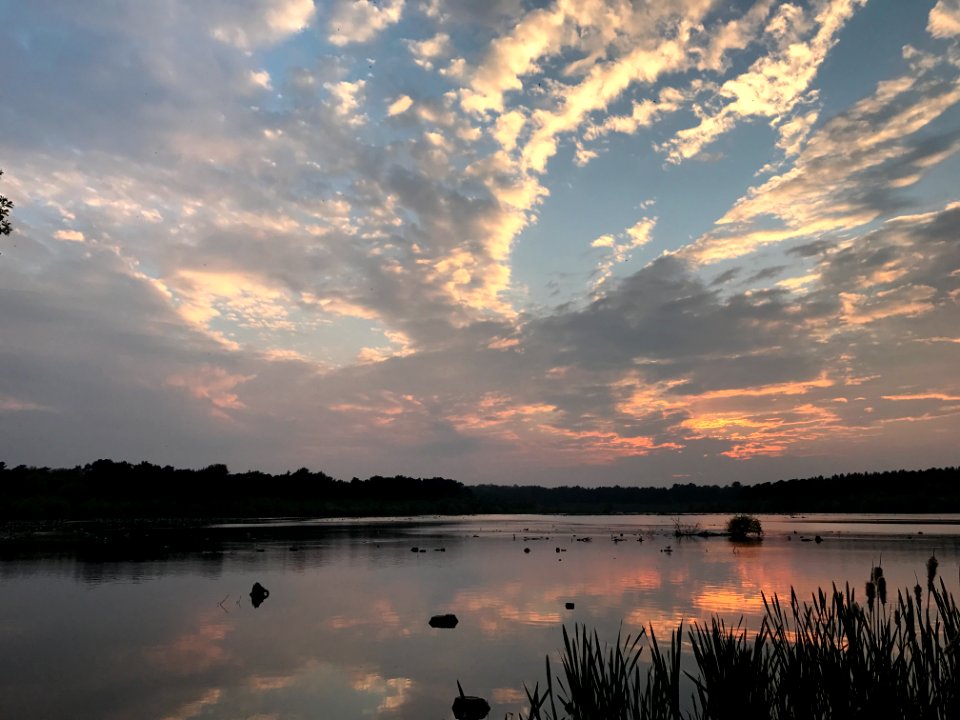 Norley, Frodsham, Engl