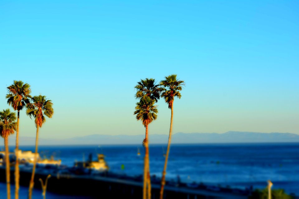 Santa cruz, United states, Pier