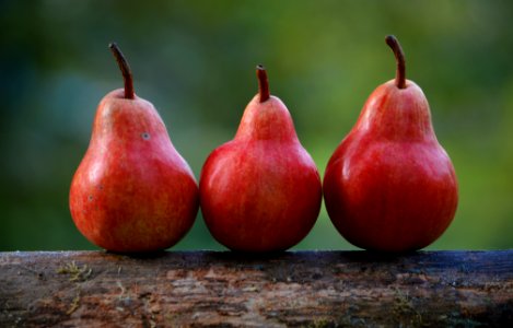 three red pear fruits