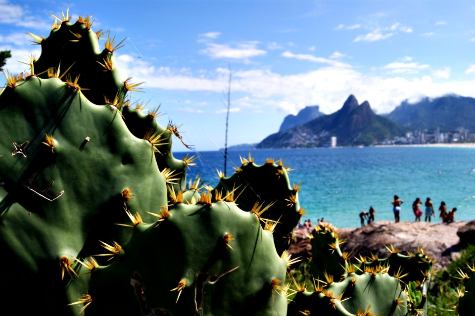 Copacabana, Rio de janeiro   state of rio de janeiro, Brazil