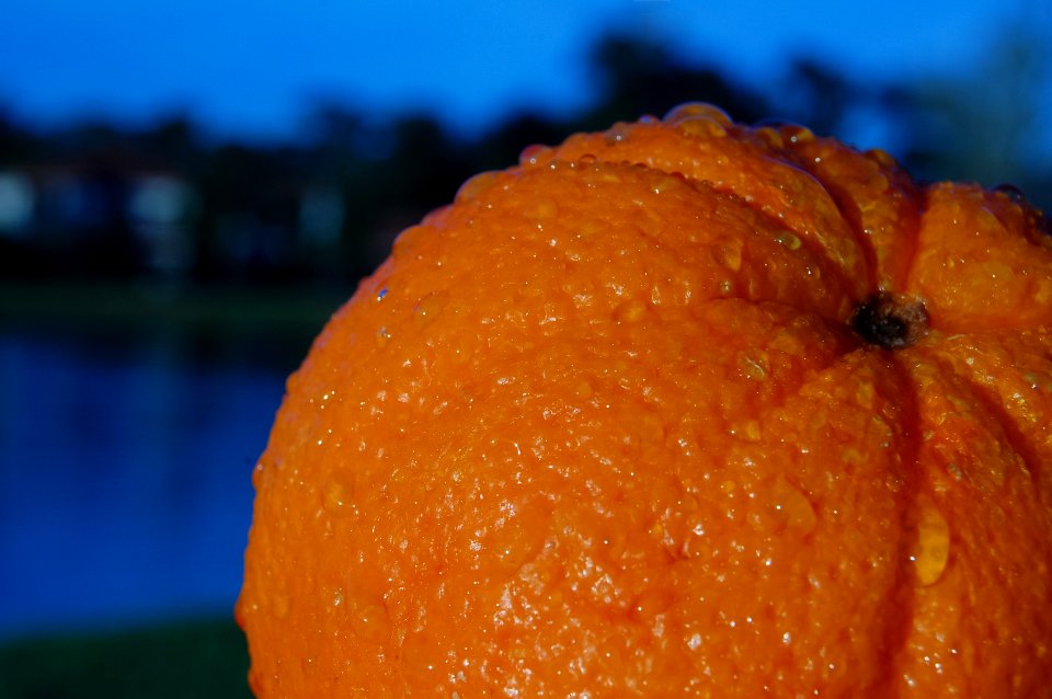 Houston, United states, Texture