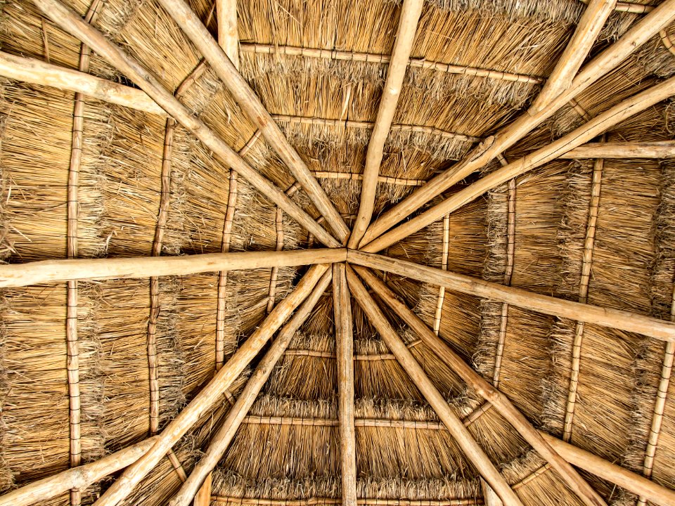 Akumal, Mexico, Tropical