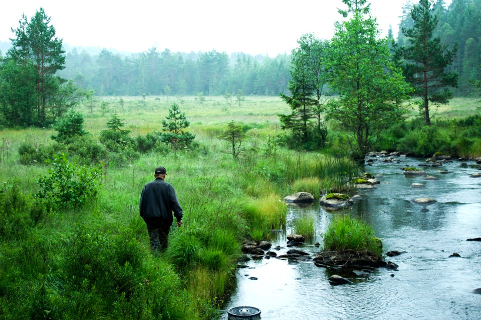 Rannebo, Sverige, Wetl