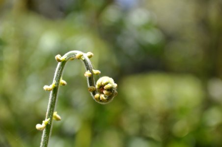 Colombia photo