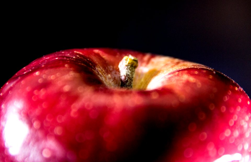 Mar lia, Brazil, Applered