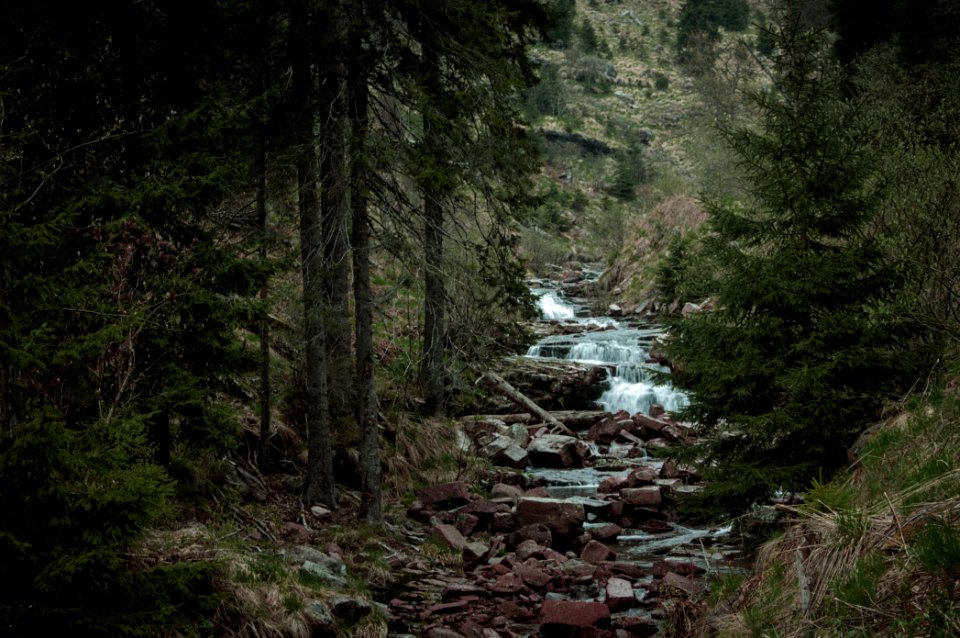 Serbia, Dojkinaka reka, Red stone