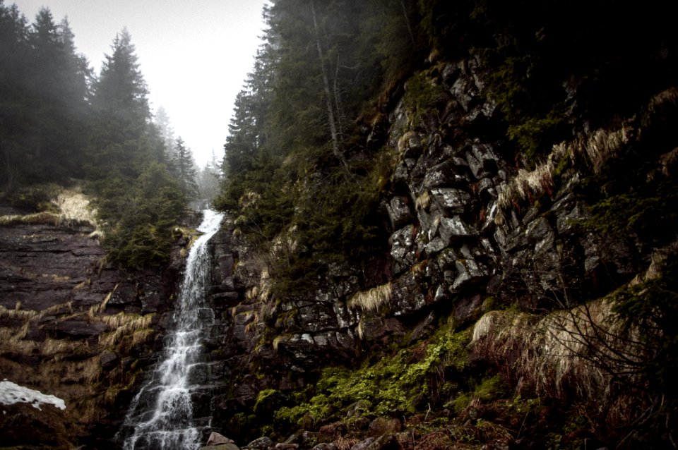 Misty forest, Mist, Mountain