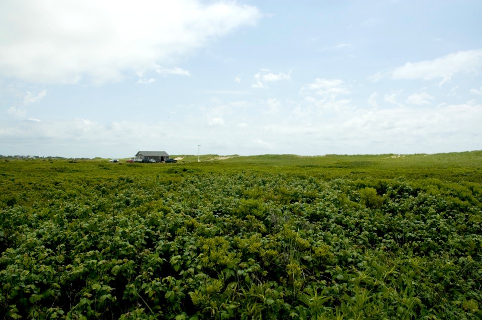 Marthas vineyard, United states, Horizon