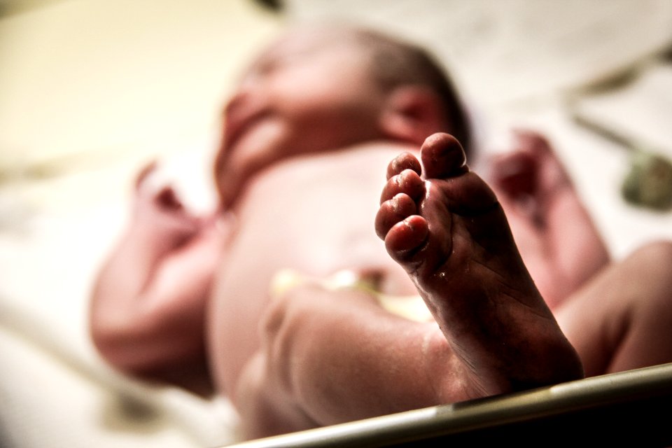 West virginia, United states, Newborn photo